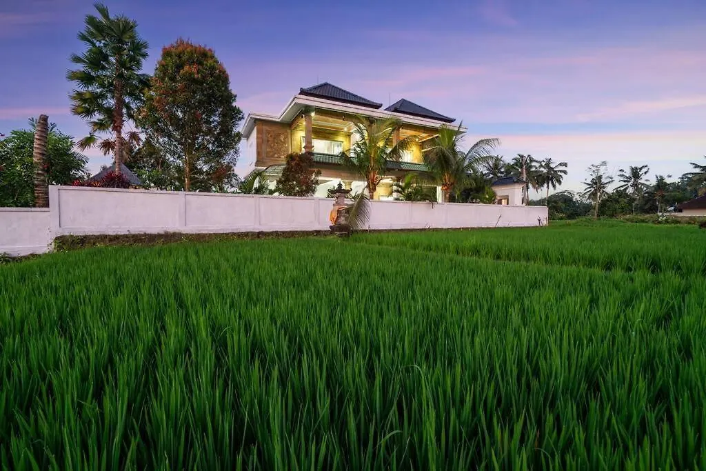 Didori Art Villa - Serene View Of Green And Sunset Ubud  Indonesia